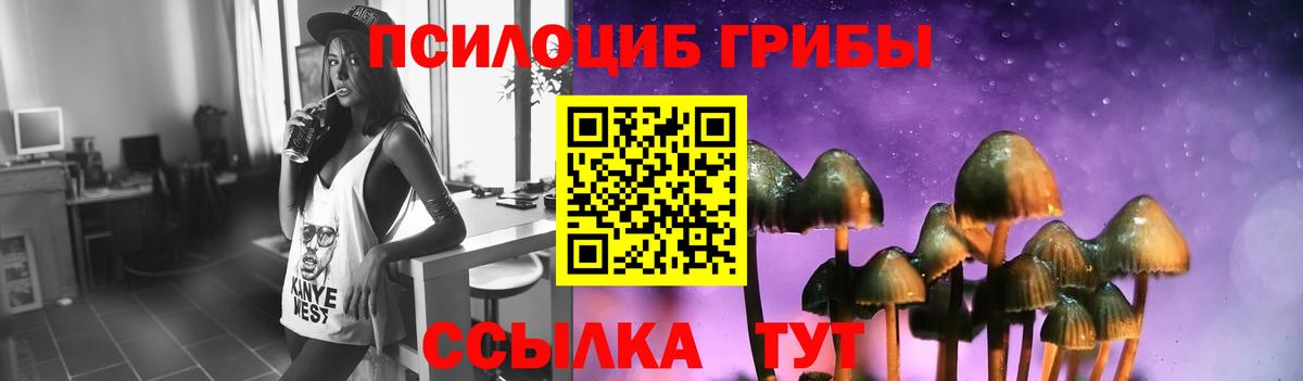 Галлюциногенные грибы мицелий Усть-Кут
